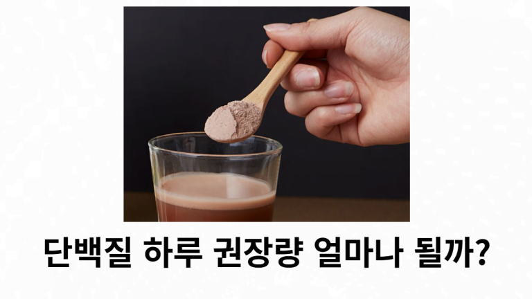 단백질 하루 권장량