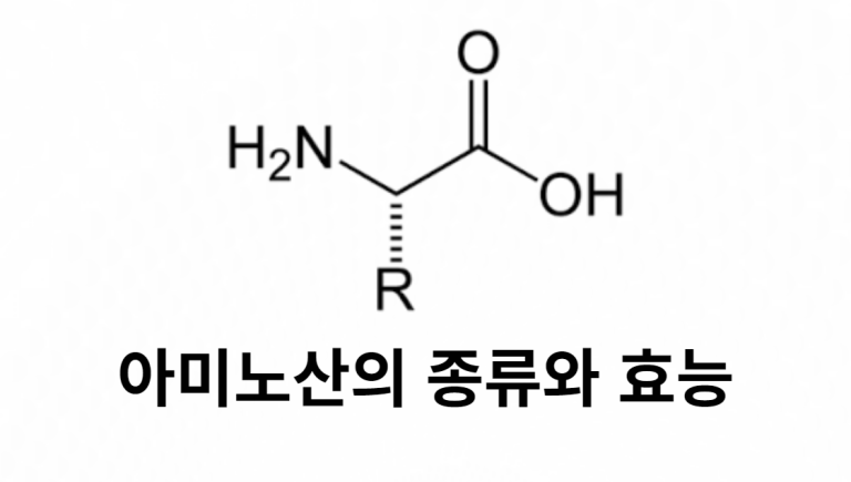 아미노산 종류와 효능