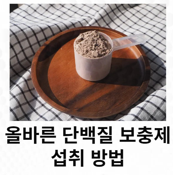 올바른 단백질 보충제 먹는 법