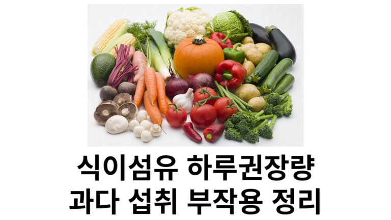 식이섬유-하루-권장량