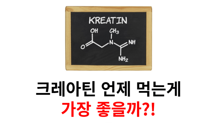 크레아틴 먹는 방법